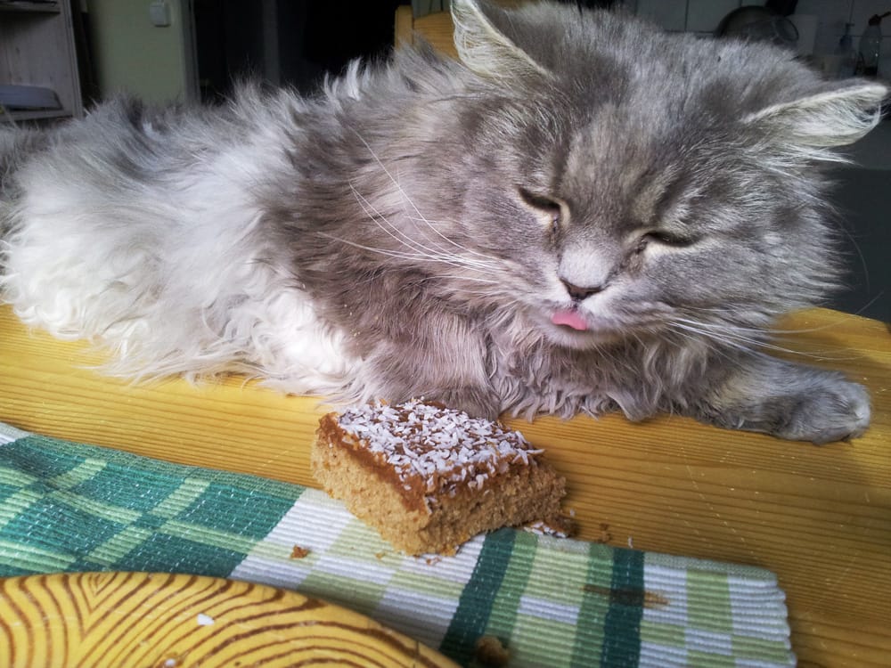 tuffykaka